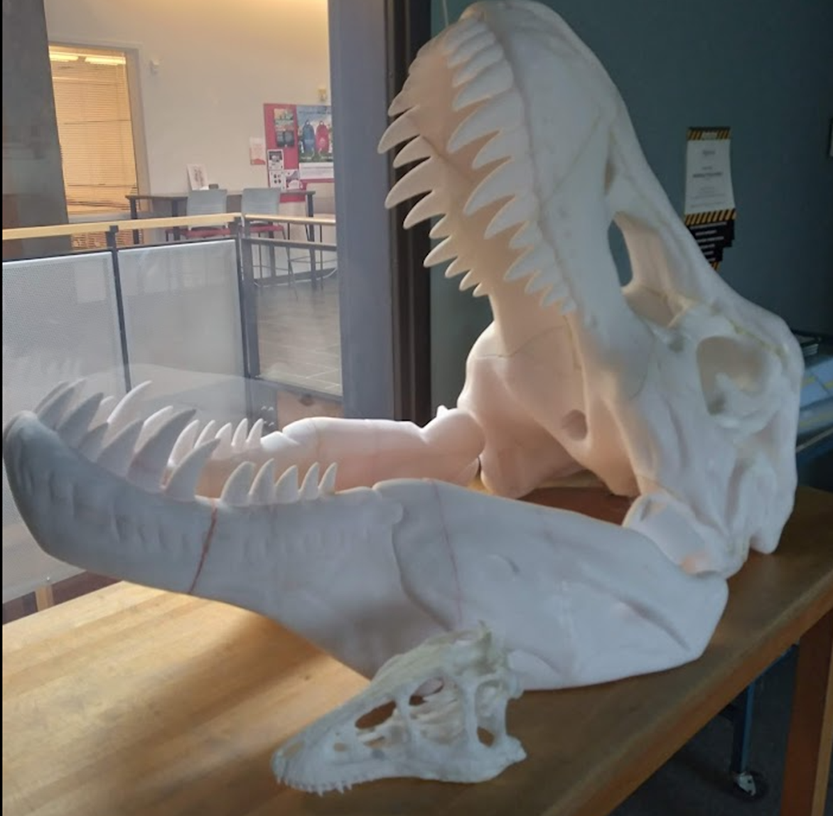 Giant T-Rex skull 3D Printed and on display in MakerSpace.